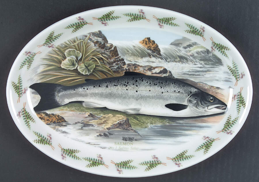 Compleat Angler Fern 10" Oval Steak Platter by Portmeirion-1