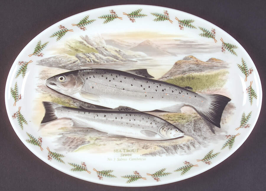 Compleat Angler Fern 13" Oval Steak Platter by Portmeirion-1