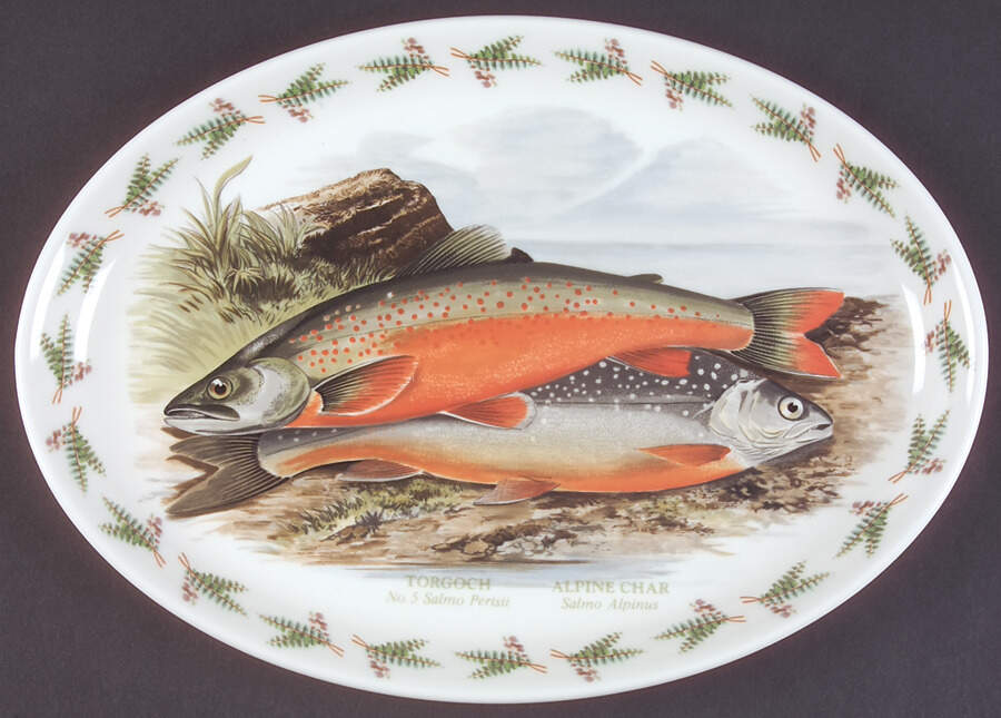 Compleat Angler Fern 13" Oval Steak Platter by Portmeirion-1