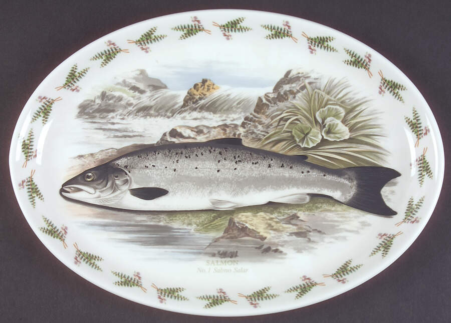 Compleat Angler Fern 13" Oval Steak Platter by Portmeirion-1