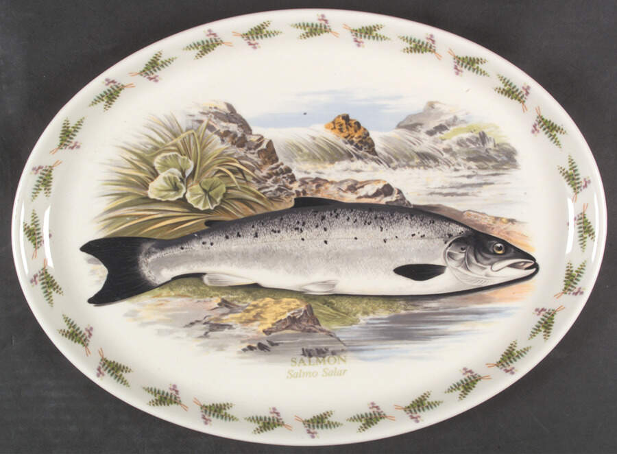 Compleat Angler Fern 14" Oval Serving Platter by Portmeirion-1