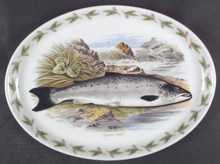 Compleat Angler Fern 18" Oval Baker by Portmeirion-1