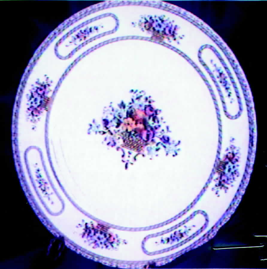 PIR41 Dinner Plate by Pirkenhammer-1