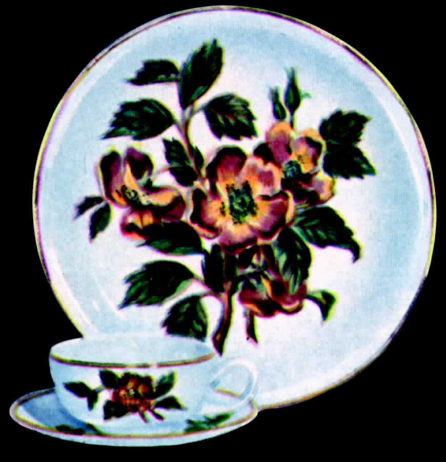 Rosewood Dinner Plate by Paden City-1