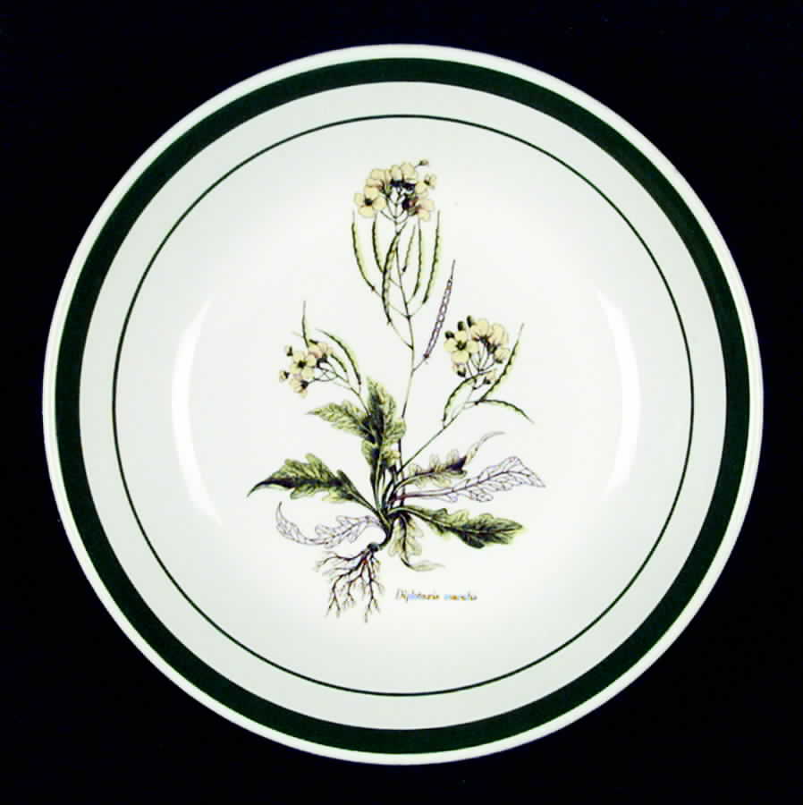 PRL6 Coupe Soup Bowl by Primula-1