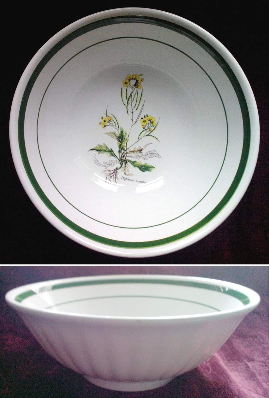 PRL6 14" Large Salad Serving Bowl by Primula-1