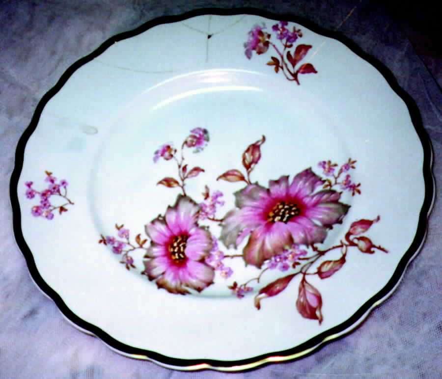 POR12 Dinner Plate by Portugal-1