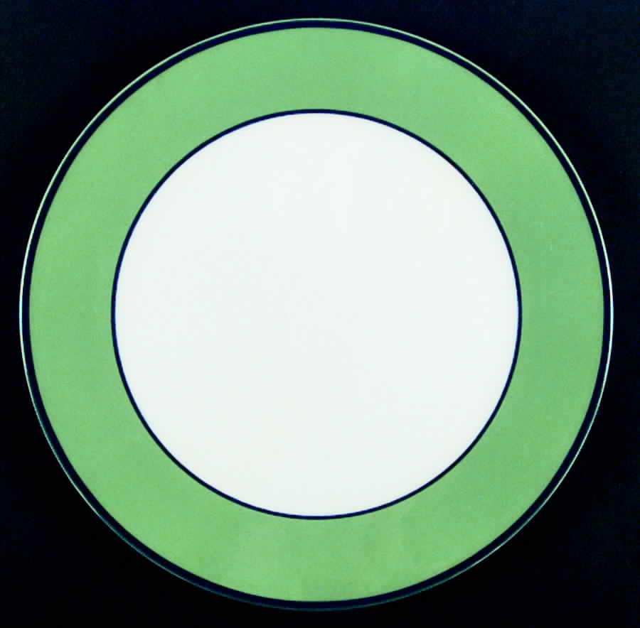 Spa Spring Green Dinner Plate by Pagnossin-1