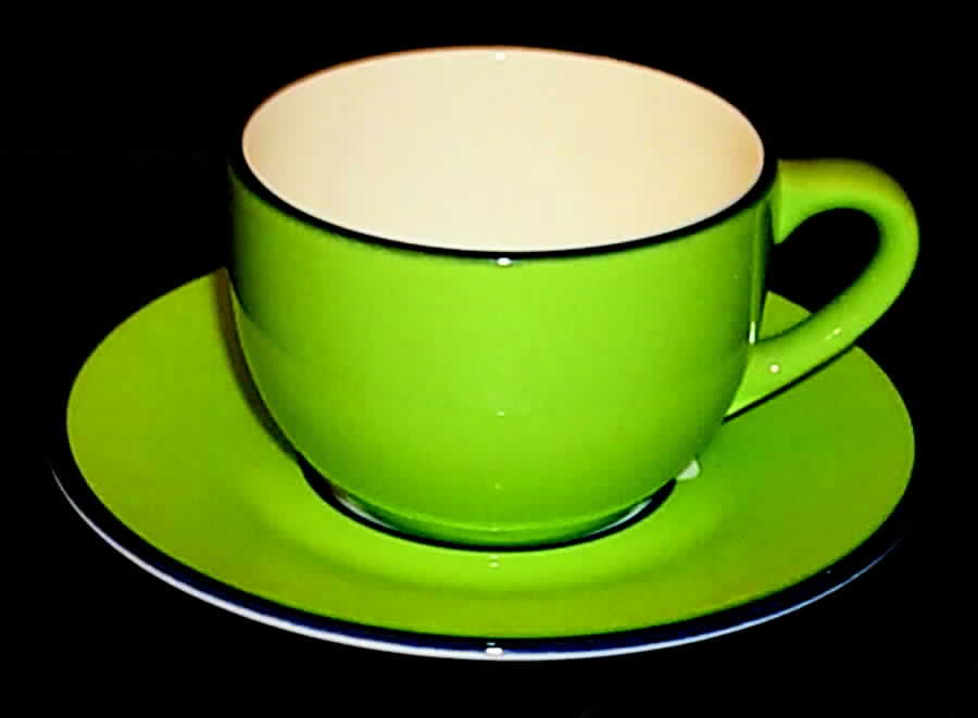 Spa Spring Green Flat Cup & Saucer Set by Pagnossin-1