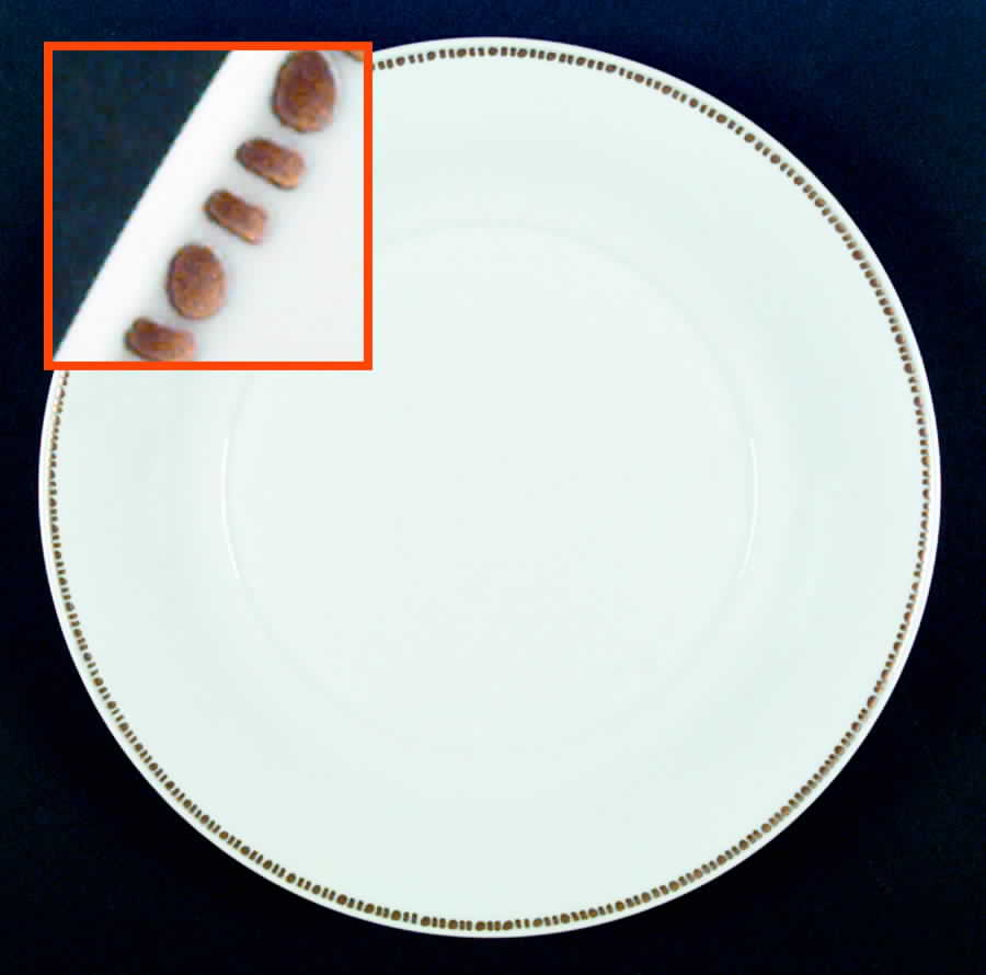 Constantine Dinner Plate by Porta-1