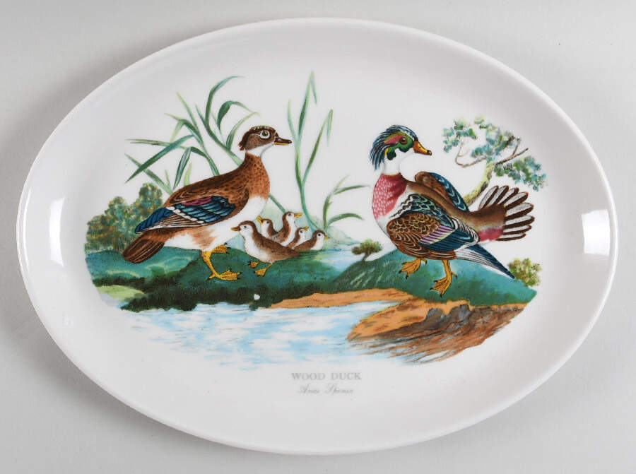 Birds of Britain 13" Oval Steak Platter by Portmeirion-1