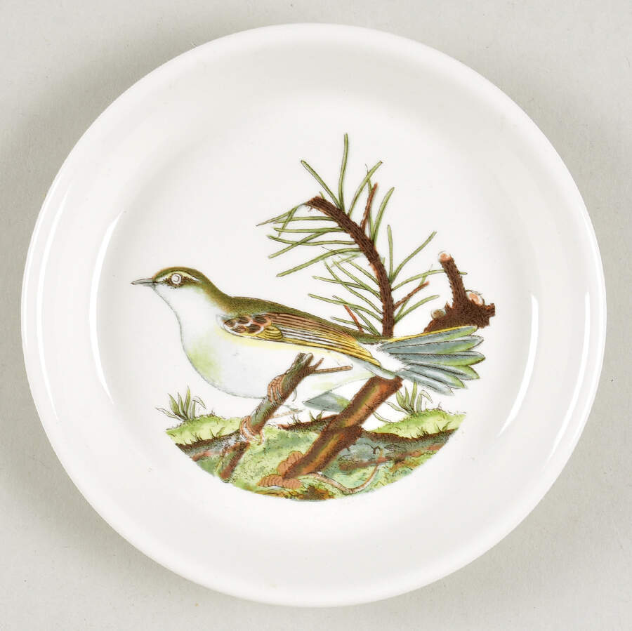 Birds of Britain Coaster by Portmeirion-1