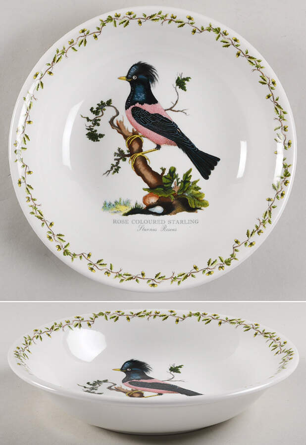Birds of Britain 8" Individual Pasta Bowl by Portmeirion-1