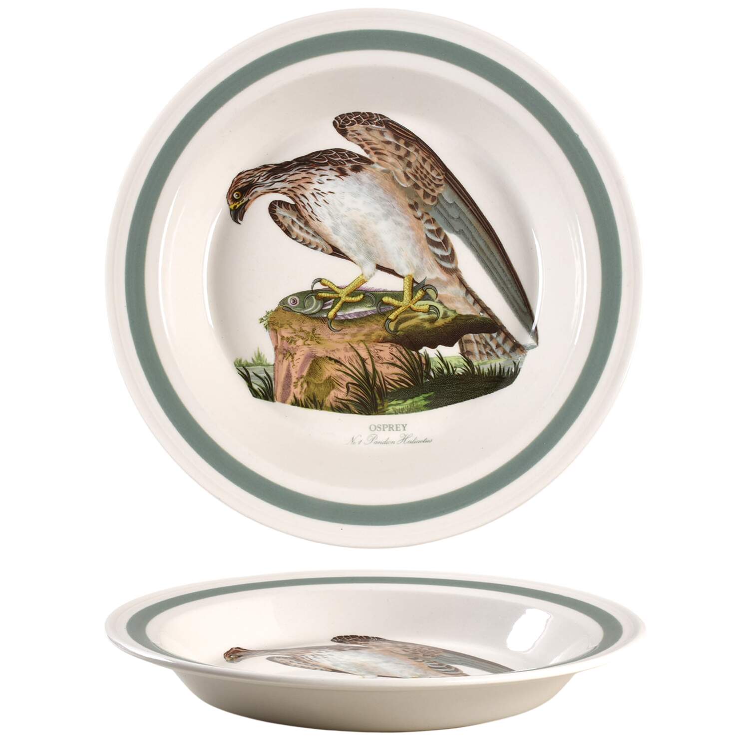 Birds of Britain 10" Pie Baking Plate with Green Band by Portmeirion-1