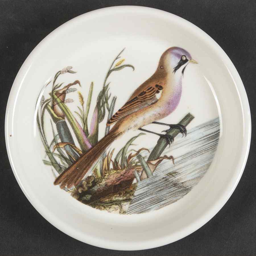 Birds of Britain Coaster by Portmeirion-1