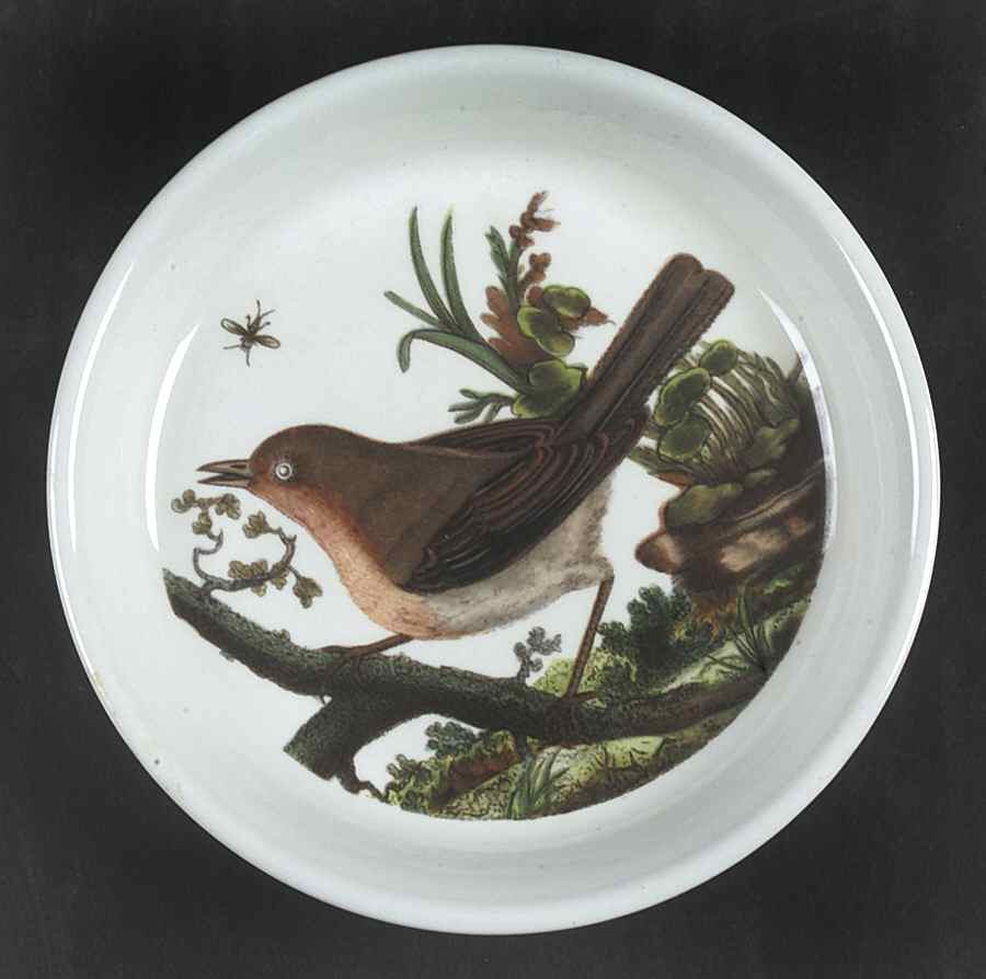 Birds of Britain Coaster by Portmeirion-1