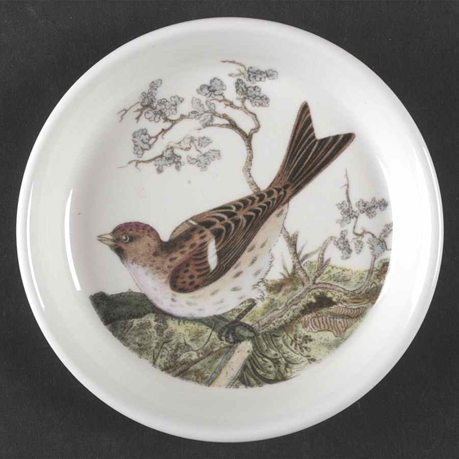 Birds of Britain Coaster by Portmeirion-1