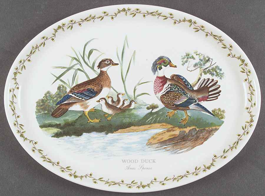 Birds of Britain 14" Oval Steak Platter by Portmeirion-1