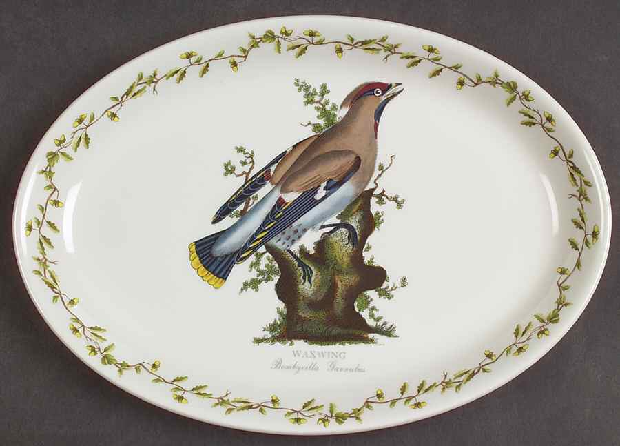 Birds of Britain 10" Oval Steak Platter by Portmeirion-1