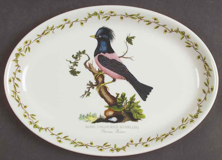 Birds of Britain 10" Oval Steak Platter by Portmeirion-1