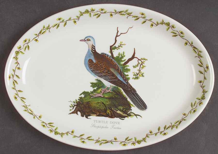 Birds of Britain 10" Oval Steak Platter by Portmeirion-1