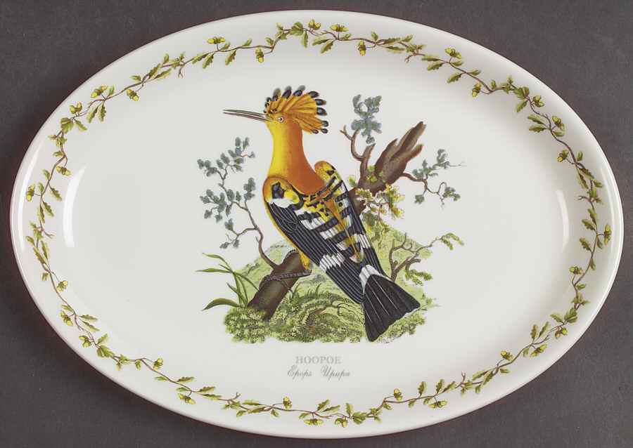 Birds of Britain 10" Oval Steak Platter by Portmeirion-1