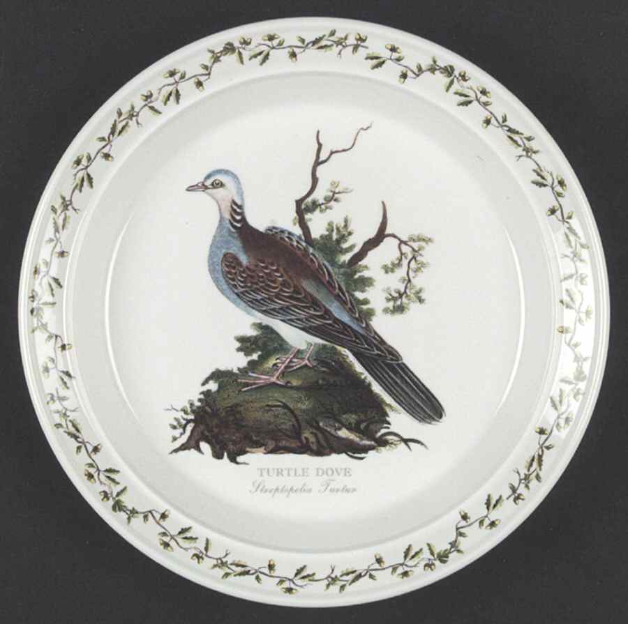 Birds of Britain Salad Plate by Portmeirion-1