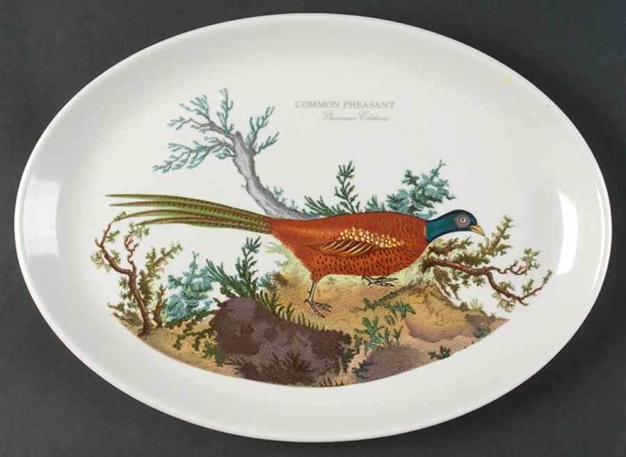 Birds of Britain 13" Oval Steak Platter by Portmeirion-1