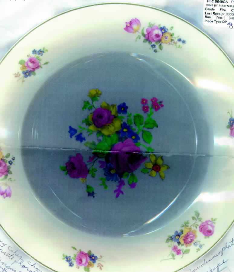 10649 Dinner Plate by Pirkenhammer-1