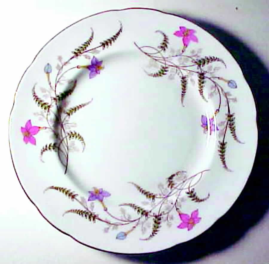 PAR29 Dinner Plate by Paragon-1