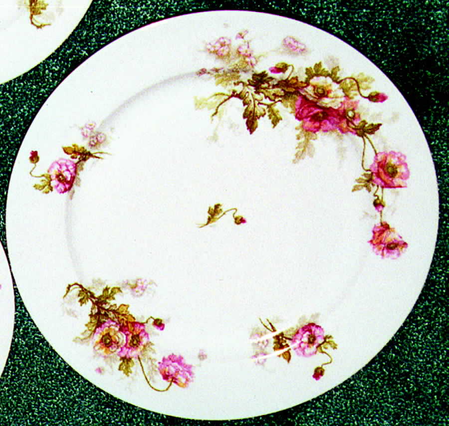 PL5 Dinner Plate by Porcelaine Limousine-1