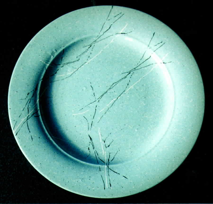 Galaxy Turquoise Dinner Plate by Pier 1-1