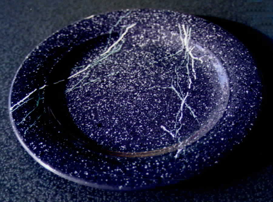 Galaxy Gray Dinner Plate by Pier 1-1