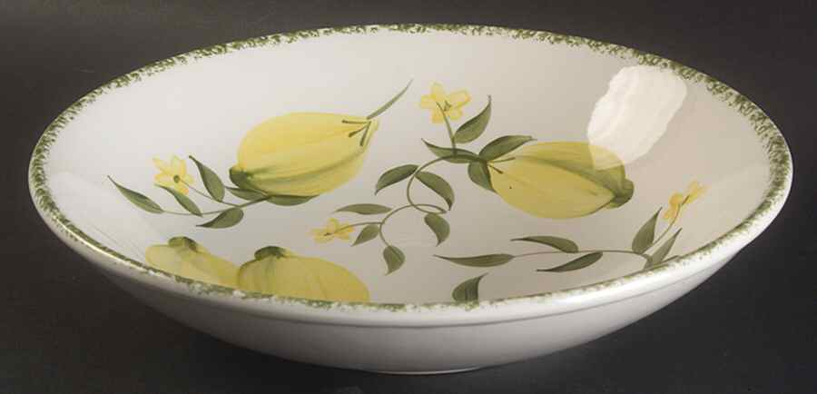 Lemon Grove 10" Pasta Serving Bowl by Portmeirion-1