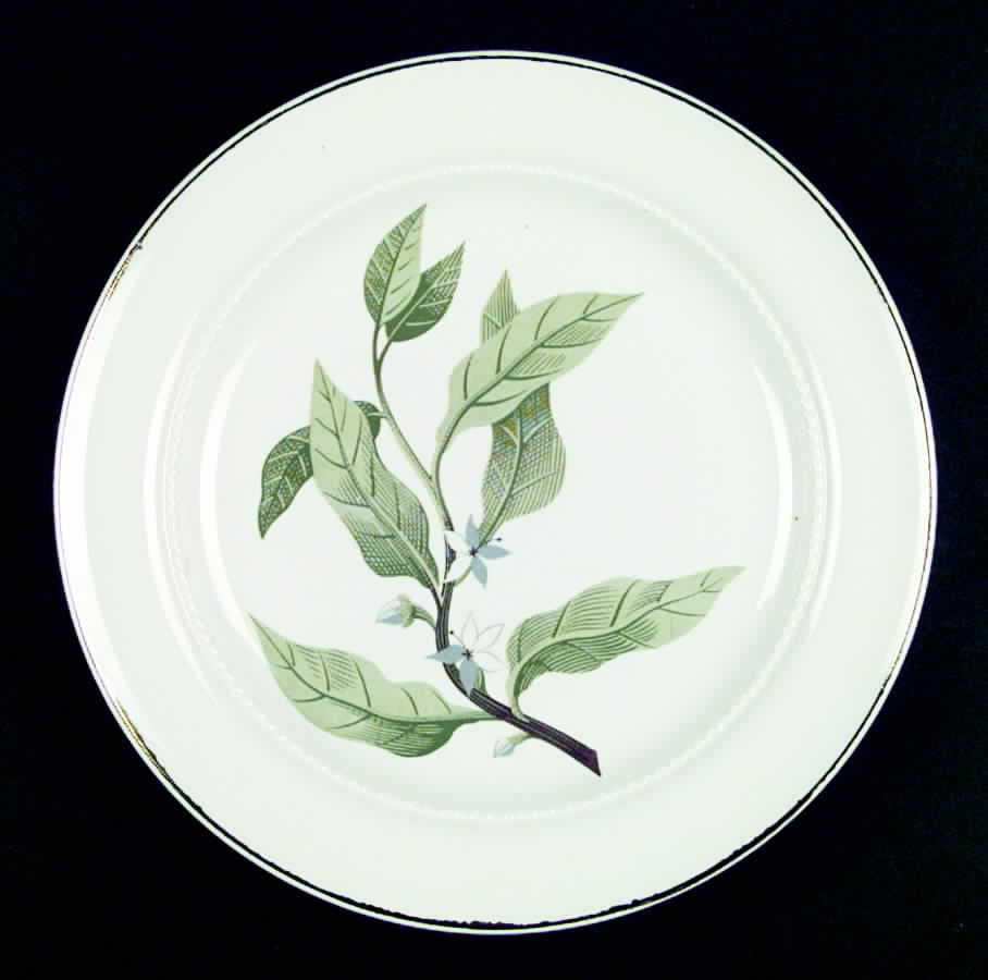 PCN4 Dinner Plate by Poinciana-1