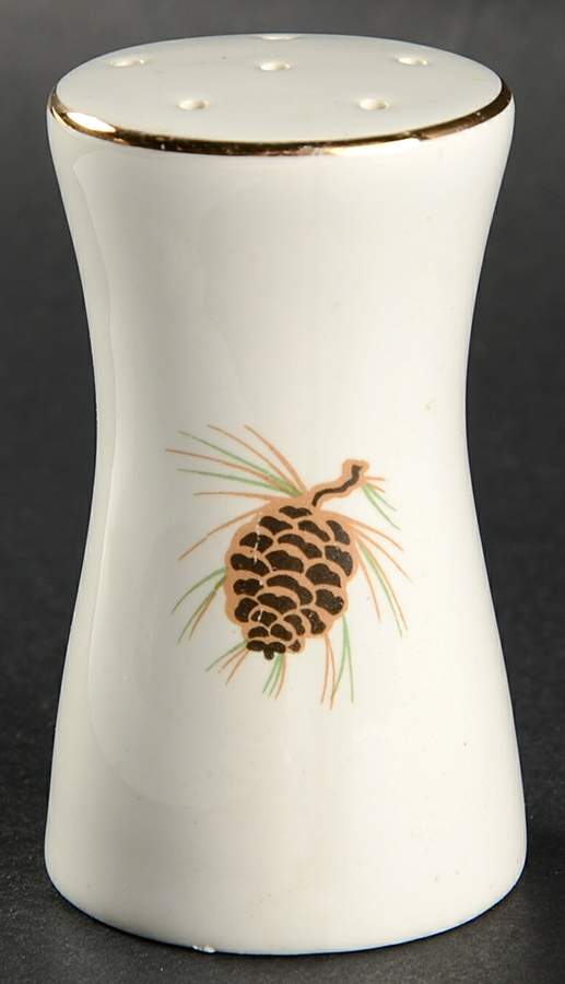 PCP120 Salt Shaker by Paden City-1