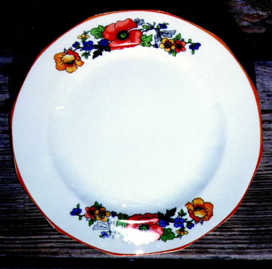 PEC1 Dinner Plate by Penn-1