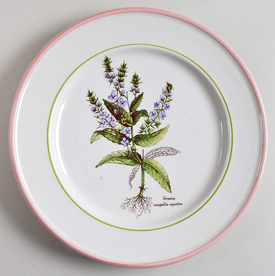 PRL8 Salad Plate by Primula-1