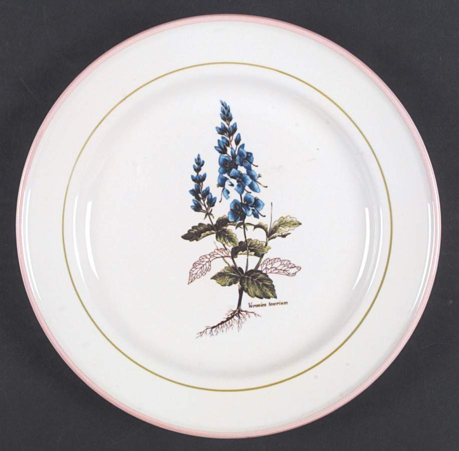 PRL8 Dinner Plate by Primula-1