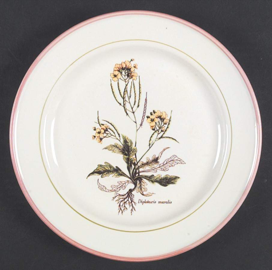 PRL8 Dinner Plate by Primula-1