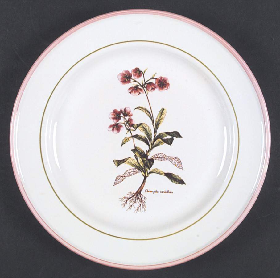 PRL8 Dinner Plate by Primula-1