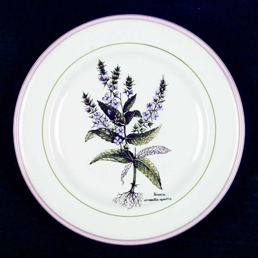 PRL8 Salad Plate by Primula-1