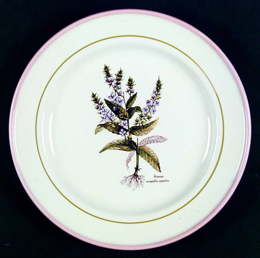PRL8 Dinner Plate by Primula-1