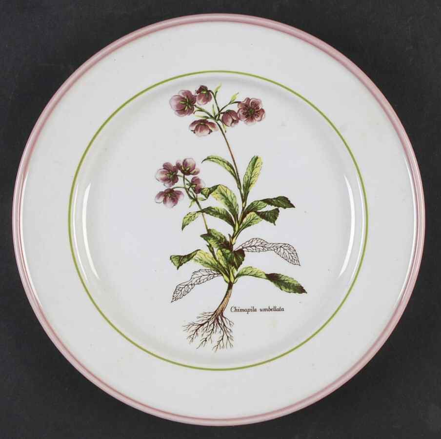 PRL8 Salad Plate by Primula-1