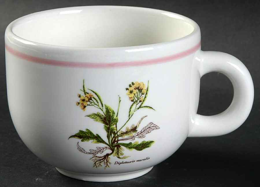 PRL8 Flat Cup by Primula-1