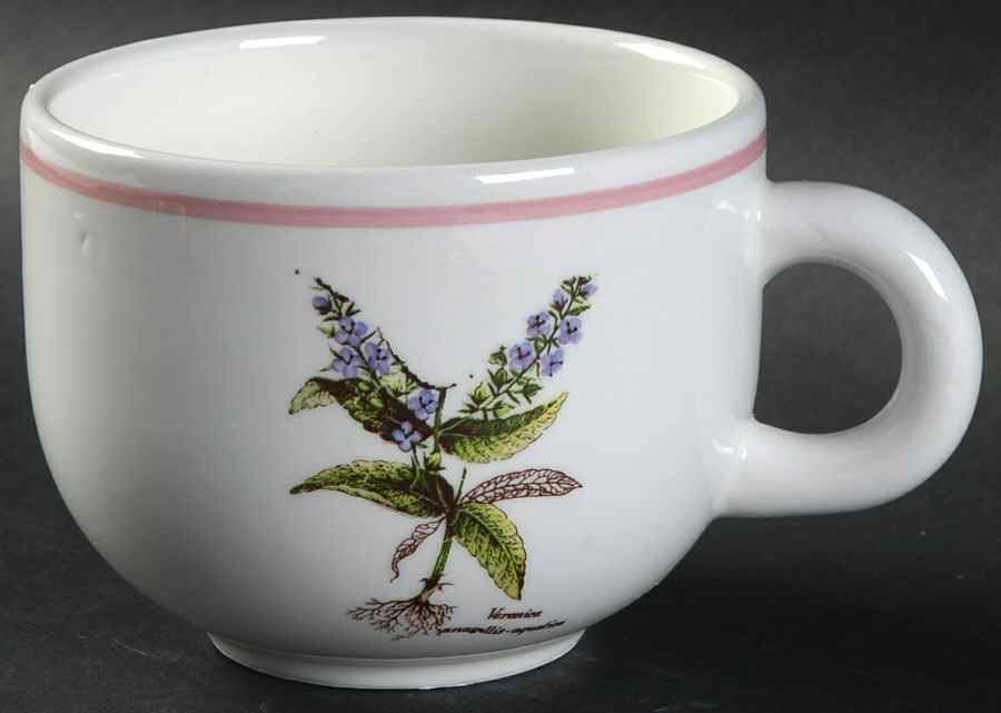 PRL8 Flat Cup by Primula-1