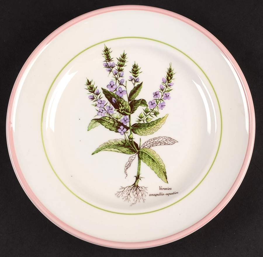 PRL8 Salad Plate by Primula-1