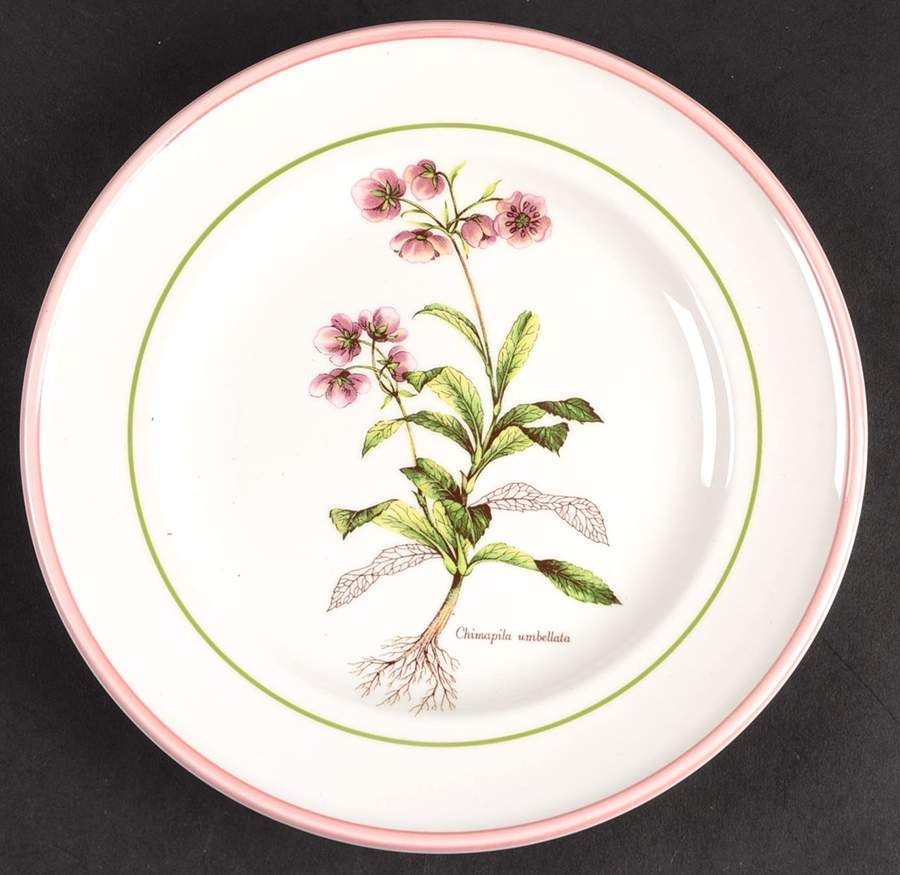 PRL8 Salad Plate by Primula-1