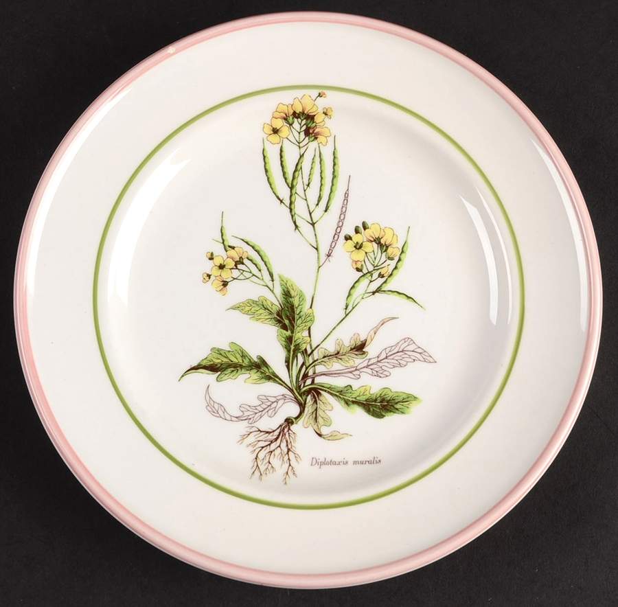 PRL8 Salad Plate by Primula-1