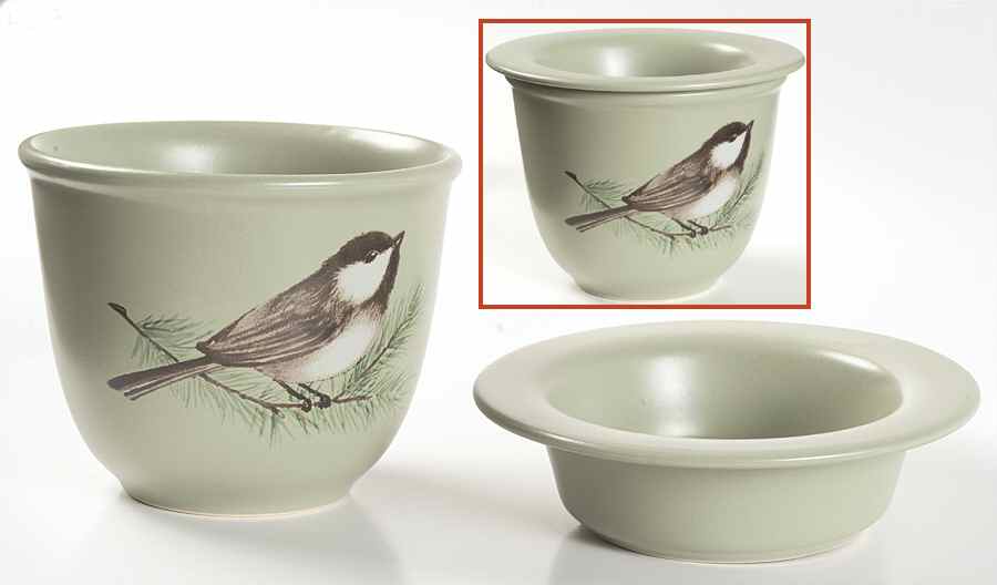 Winterwood Green Dip Cooler Set-(Dip Bowl &Icer by Pfaltzgraff-1